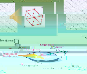 p32box2fig1.jpg