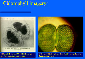 truman nanoscope2.jpg