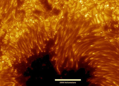 Sunspot