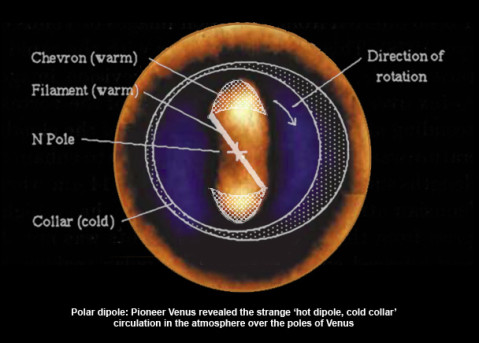 Venus polar dipole