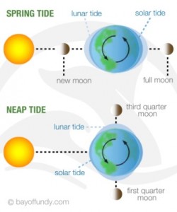 Tides.Thunderbolt.02.jpg