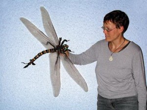 Life sized adult woman with a life sized model of a griffenfly