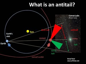 Antitail